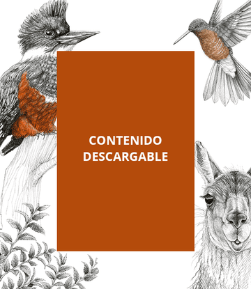 ¡Encuentra contenido descargable!