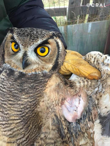 |