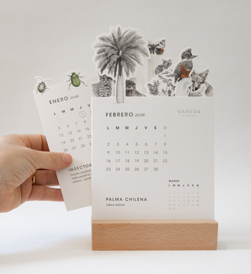 Calendario