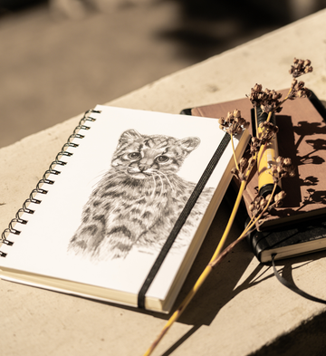 Cuadernos y libretas