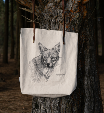 Bolsos y totebag