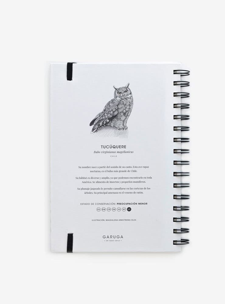 cuaderno diseño tucúquere Chile vuelta clases
cuaderno escolar ilustración tucúquere fauna Chile
regalo cuaderno tucúquere fauna chilena
cuaderno 100 páginas tucúquere Chile
cuaderno escolar fauna flora nativa Chile