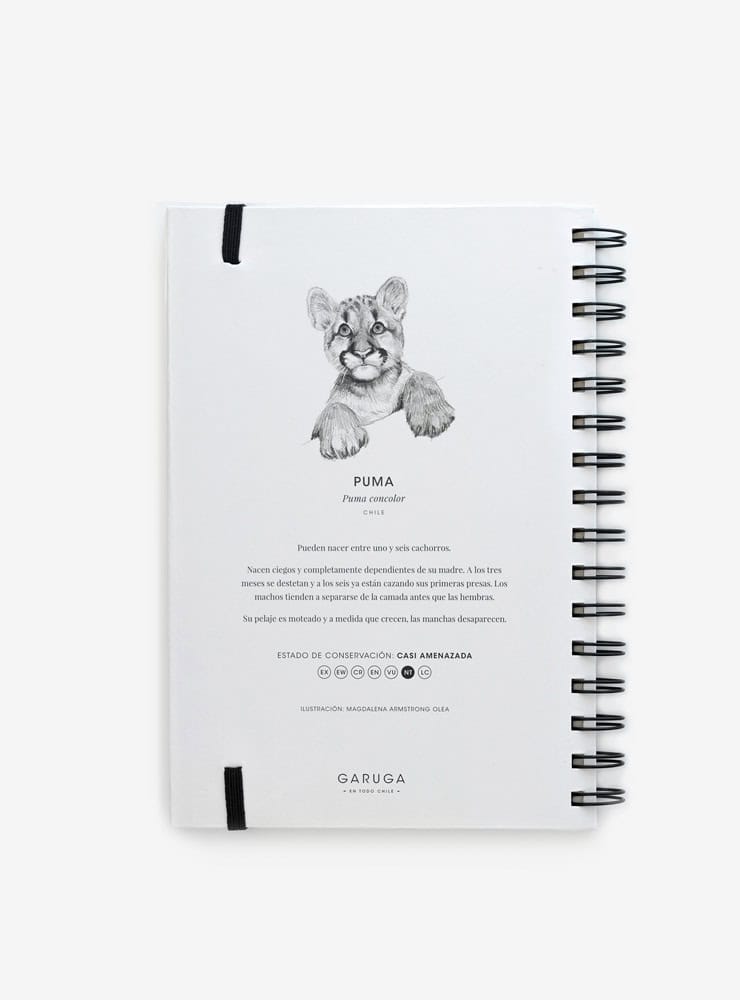 cuaderno diseño puma cachorro Chile vuelta clases
cuaderno escolar ilustración puma cachorro fauna Chile
regalo cuaderno puma cachorro fauna chilena
cuaderno 100 páginas puma cachorro Chile
cuaderno escolar fauna flora nativa Chile