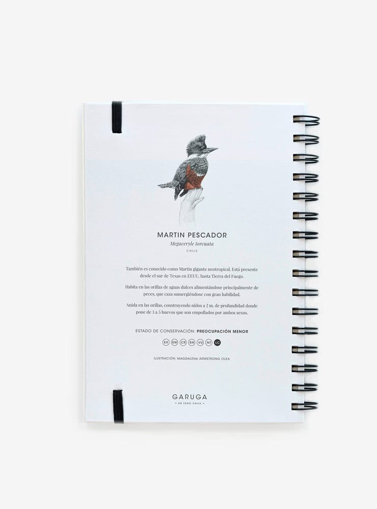 cuaderno diseño martín pescador Chile vuelta clases
cuaderno escolar ilustración martín pescador fauna Chile
regalo cuaderno martín pescador fauna chilena
cuaderno 100 páginas martín pescador Chile
cuaderno escolar fauna flora nativa Chile