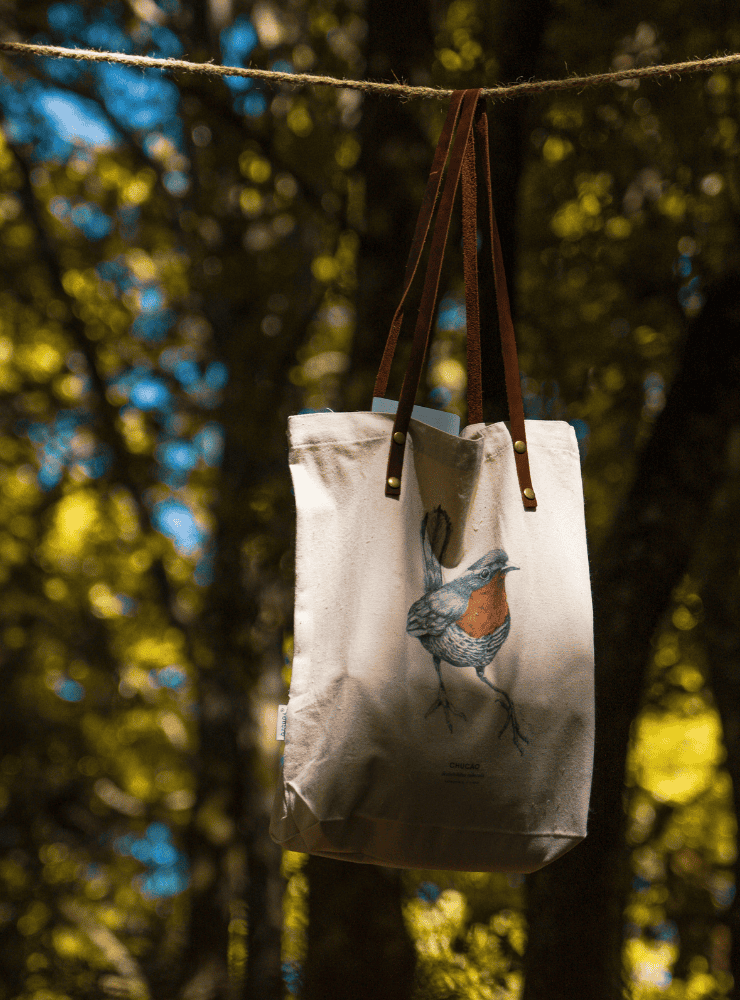 totebag diseño pingüino de magallanes Chile
bolsa tela reutilizable pingüino de magallanes fauna Chile
regalo totebag pingüino de magallanes Chile
totebag alternativa plástico fauna chilena
totebag ilustración pingüino de magallanes Chile sustentable