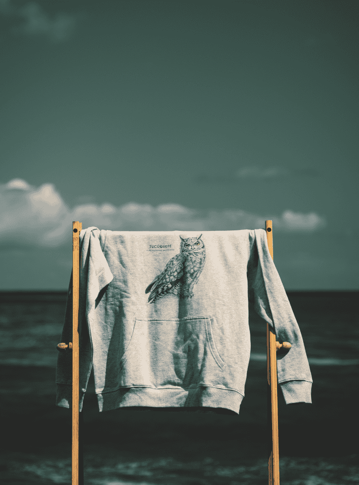 Polerón Gorro gris- Mariposa Del Chagual