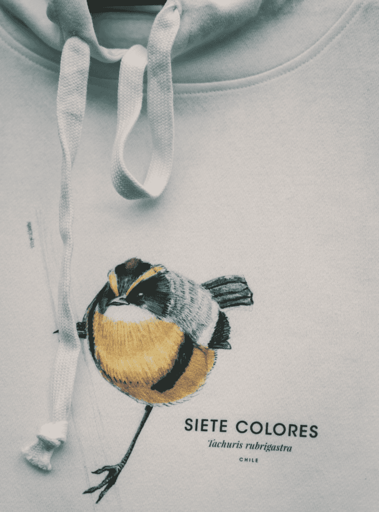 Polerón canguro en algodón afranelado con diseño del Siete Colores, ave endémica de Chile. Con gorro y bolsillo, unisex, tallas XXS a XL. Color blanco. Tu compra apoya a Fundación Kennedy. Garuga.