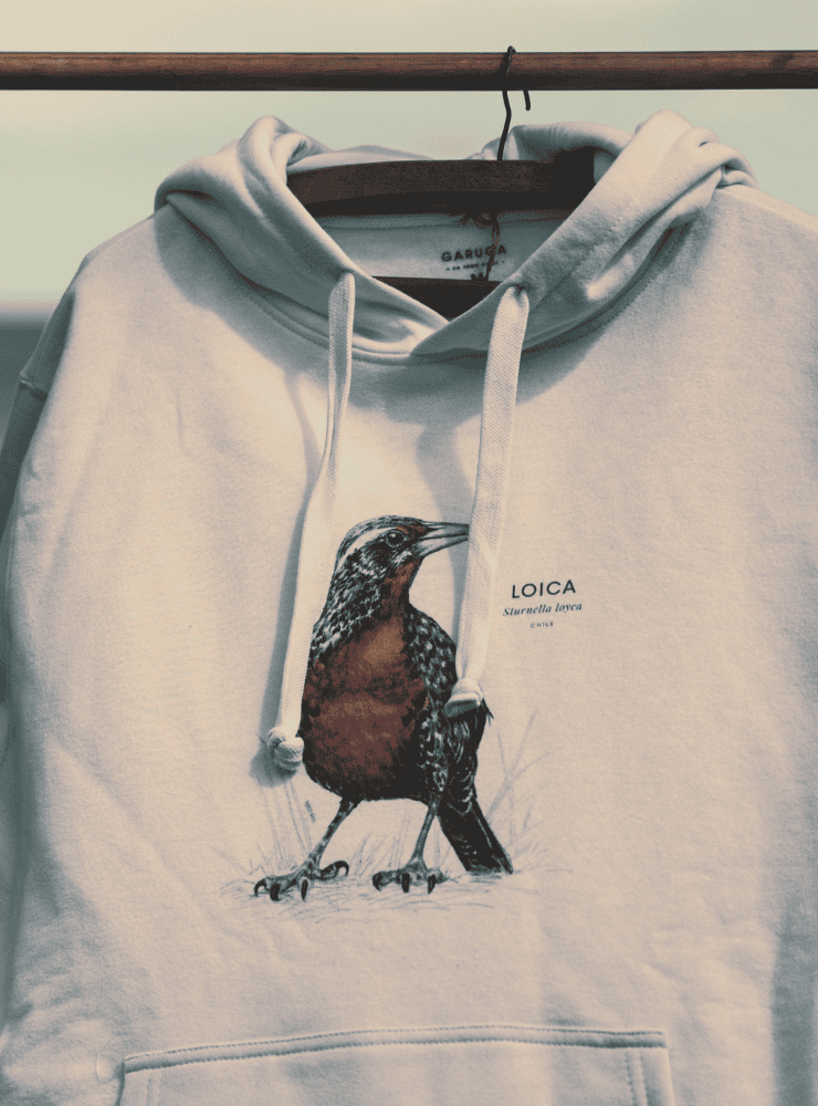polerón canguro blanco diseño loica Chile
ropa con ave nacional de Chile blanco
regalo con loica ave emblemática Chile
polerón afranelado unisex ave pecho rojo Chile
ropa conservación aves pradera Chile blanco