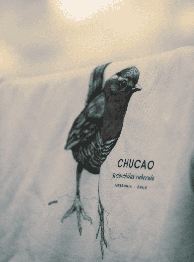 polerón canguro blanco diseño chucao Chile
ropa con ave del bosque nativo Chile blanco
regalo con chucao ave endémica sur Chile
polerón afranelado unisex ave folklore chileno
ropa bosque templado Chile color blanco