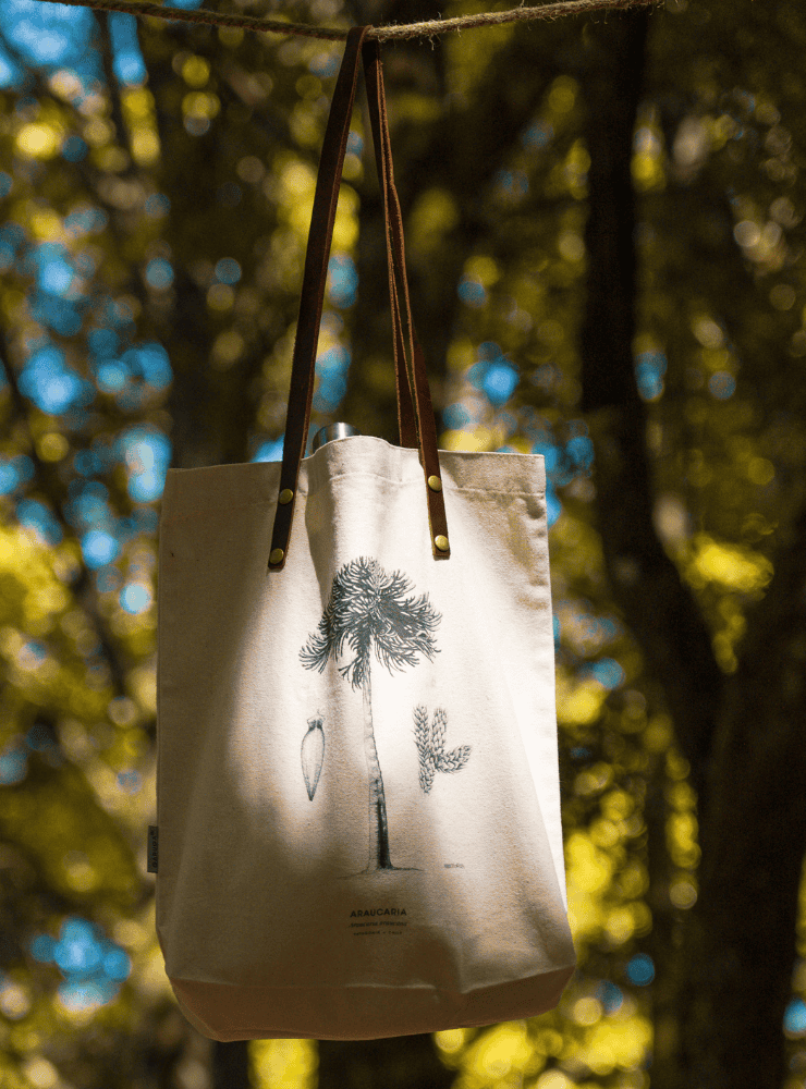 totebag diseño araucaria Chile
bolsa tela reutilizable araucaria fauna Chile
regalo totebag araucaria Chile
totebag alternativa plástico fauna chilena
totebag ilustración araucaria Chile sustentable