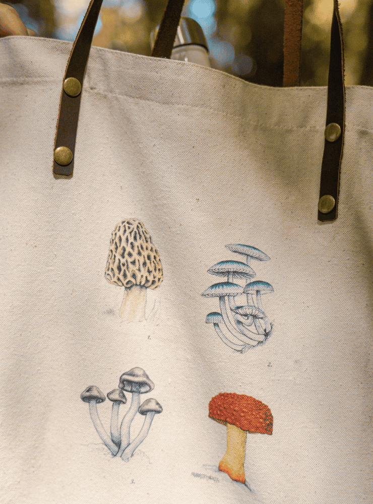 totebag diseño loica Chile
bolsa tela reutilizable loica fauna Chile
regalo totebag loica Chile
totebag alternativa plástico fauna chilena
totebag ilustración loica Chile sustentable
