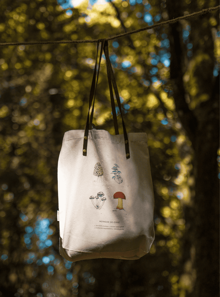 totebag diseño hongos Chile
bolsa tela reutilizable hongos fauna Chile
regalo totebag hongos Chile
totebag alternativa plástico fauna chilena
totebag ilustración hongos Chile sustentable