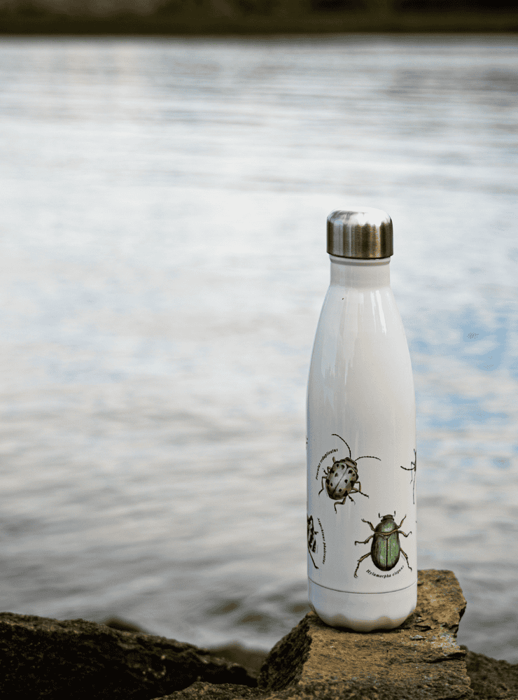 botella térmica 500ml diseño fondo marino Chile
botella reutilizable libre BPA fauna Chile
regalo botella térmica fondo marino Chile
botella térmica vuelta a clases fondo marino Chile
botella ecológica reutilizable fauna flora chilena