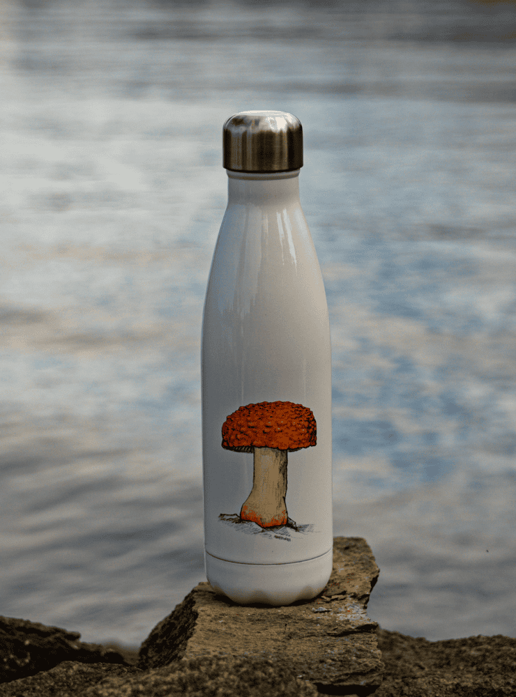 botella térmica 500ml diseño amanita gayana Chile
botella reutilizable libre BPA fauna Chile
regalo botella térmica amanita gayana Chile
botella térmica vuelta a clases amanita gayana Chile
botella ecológica reutilizable fauna flora chilena