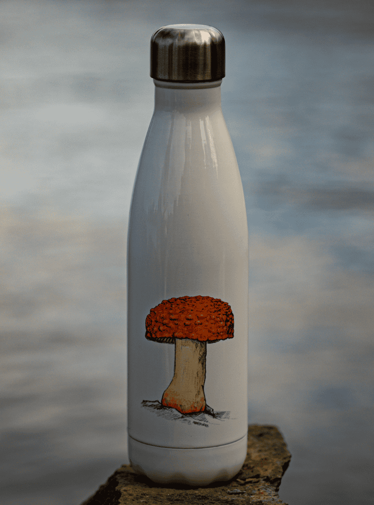 botella térmica 500ml diseño amanita gayana Chile
botella reutilizable libre BPA fauna Chile
regalo botella térmica amanita gayana Chile
botella térmica vuelta a clases amanita gayana Chile
botella ecológica reutilizable fauna flora chilena