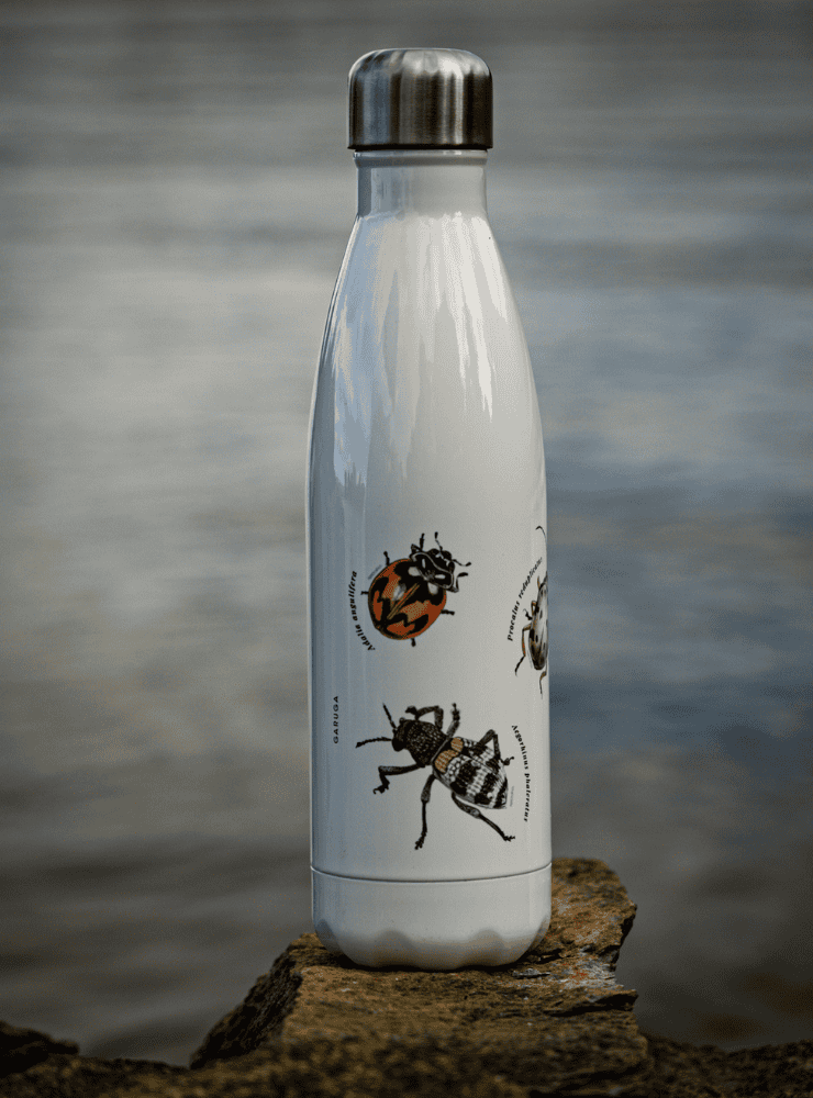 botella térmica 500ml diseño morchella Chile
botella reutilizable libre BPA fauna Chile
regalo botella térmica morchella Chile
botella térmica vuelta a clases morchella Chile
botella ecológica reutilizable fauna flora chilena