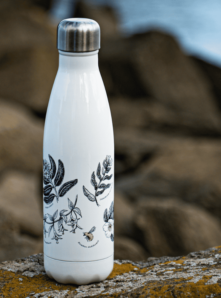 botella térmica 500ml diseño morchella Chile
botella reutilizable libre BPA fauna Chile
regalo botella térmica morchella Chile
botella térmica vuelta a clases morchella Chile
botella ecológica reutilizable fauna flora chilena