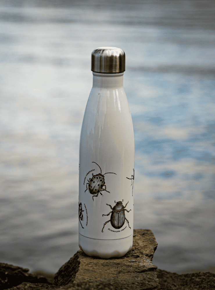 botella térmica 500ml diseño insectos de chile Chile
botella reutilizable libre BPA fauna Chile
regalo botella térmica insectos de chile Chile
botella térmica vuelta a clases insectos de chile Chile
botella ecológica reutilizable fauna flora chilena