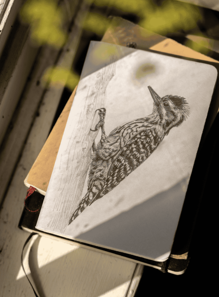 libreta diseño chucao Chile
libreta papelería ilustración fauna flora chilena
regalo libreta chucao fauna Chile
libreta 60 páginas chucao Chile
regalo papelería fauna flora nativa Chile