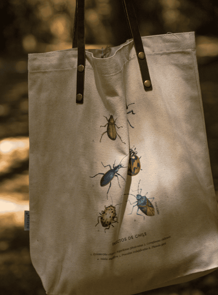 totebag diseño insectos de chile Chile
bolsa tela reutilizable insectos de chile fauna Chile
regalo totebag insectos de chile Chile
totebag alternativa plástico fauna chilena
totebag ilustración insectos de chile Chile sustentable
