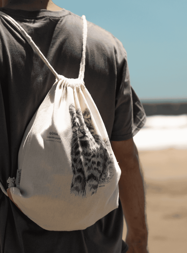 mochila diseño cóndor volando Chile
mochila escolar fauna flora chilena vuelta a clases
regalo mochila cóndor volando Chile niño
mochila ilustración cóndor volando Chile sustentable
mochila vuelta a clases fauna Chile