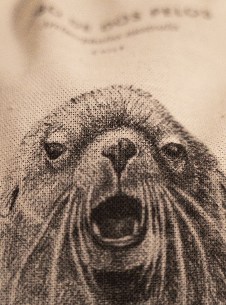 mochila diseño tricahue Chile
mochila escolar fauna flora chilena vuelta a clases
regalo mochila tricahue Chile niño
mochila ilustración tricahue Chile sustentable
mochila vuelta a clases fauna Chile