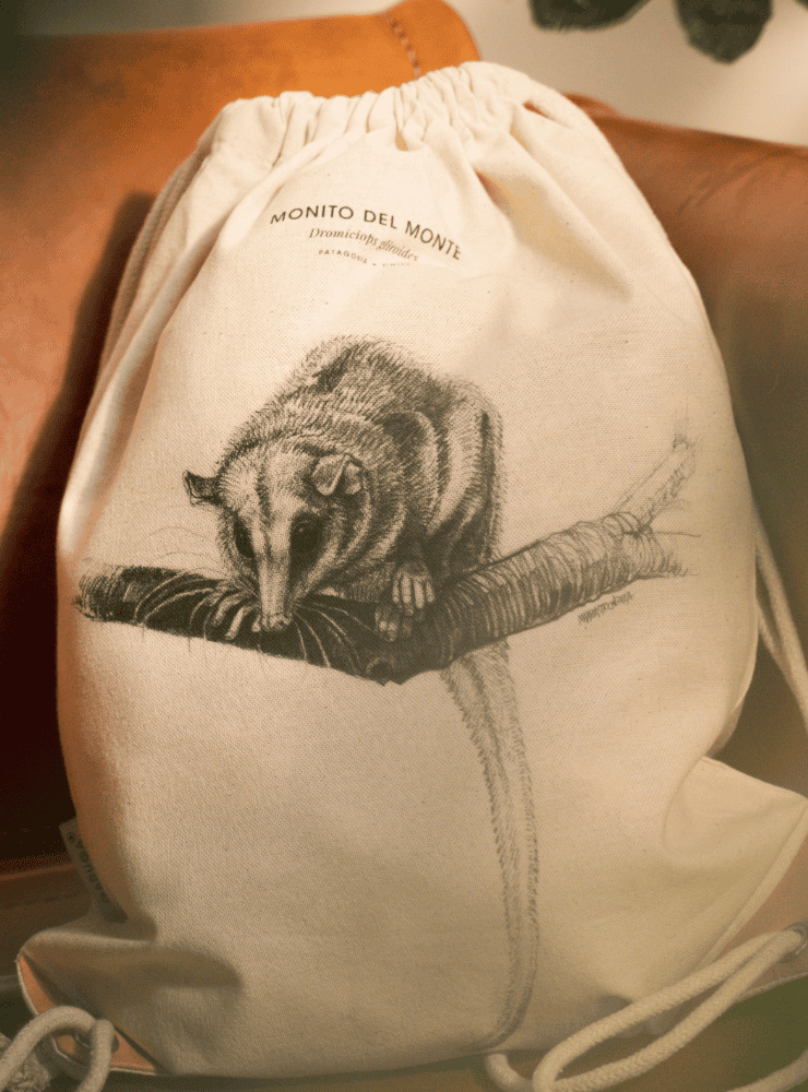 mochila diseño vizcacha Chile
mochila escolar fauna flora chilena vuelta a clases
regalo mochila vizcacha Chile niño
mochila ilustración vizcacha Chile sustentable
mochila vuelta a clases fauna Chile