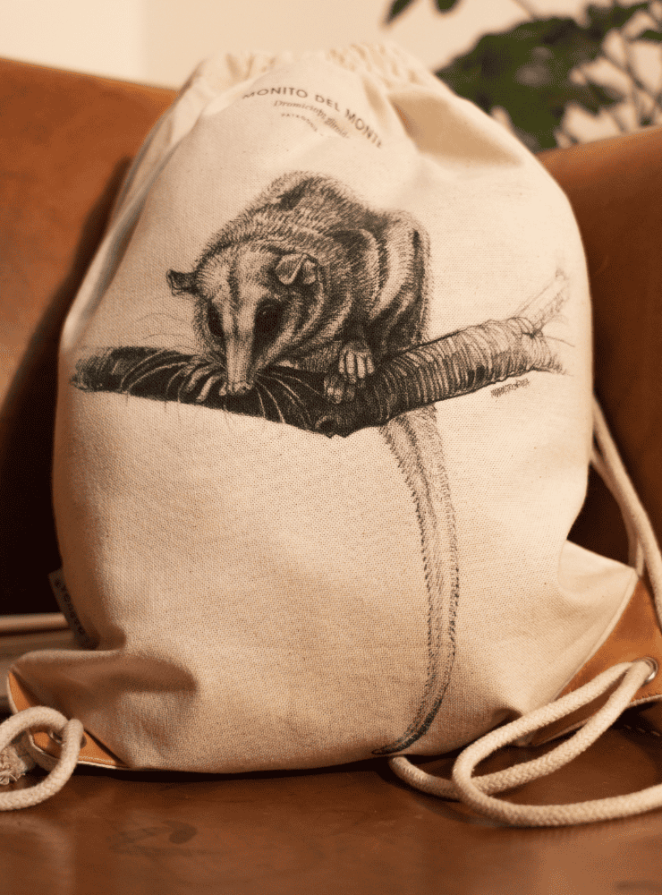 mochila diseño martín pescador Chile
mochila escolar fauna flora chilena vuelta a clases
regalo mochila martín pescador Chile niño
mochila ilustración martín pescador Chile sustentable
mochila vuelta a clases fauna Chile