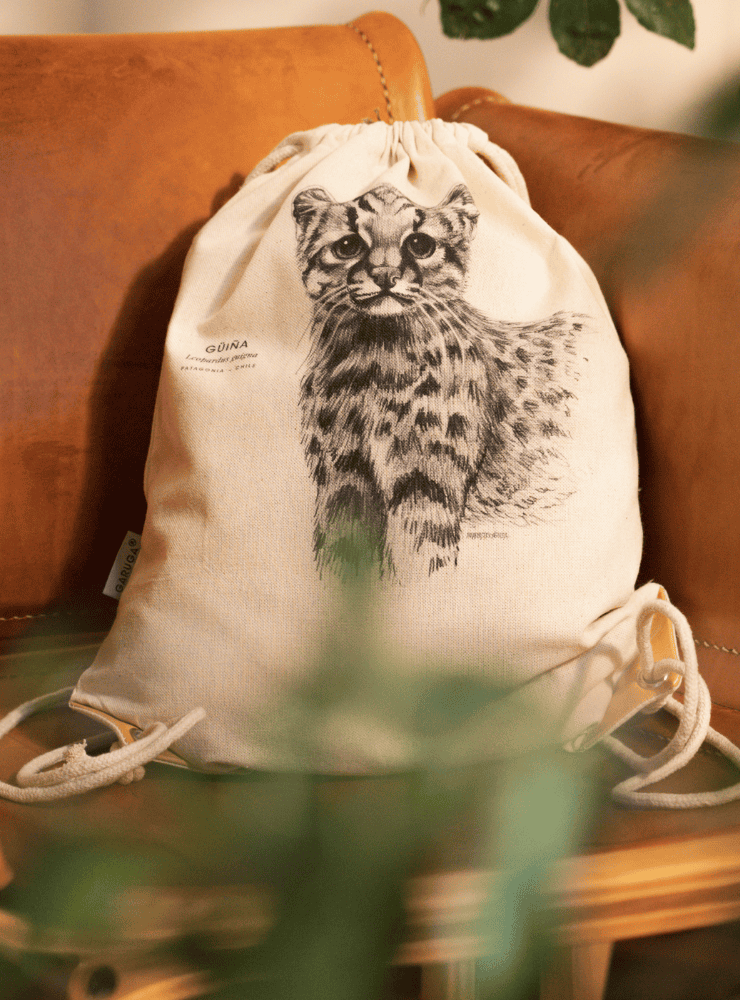 mochila diseño murciélago colorado Chile
mochila escolar fauna flora chilena vuelta a clases
regalo mochila murciélago colorado Chile niño
mochila ilustración murciélago colorado Chile sustentable
mochila vuelta a clases fauna Chile