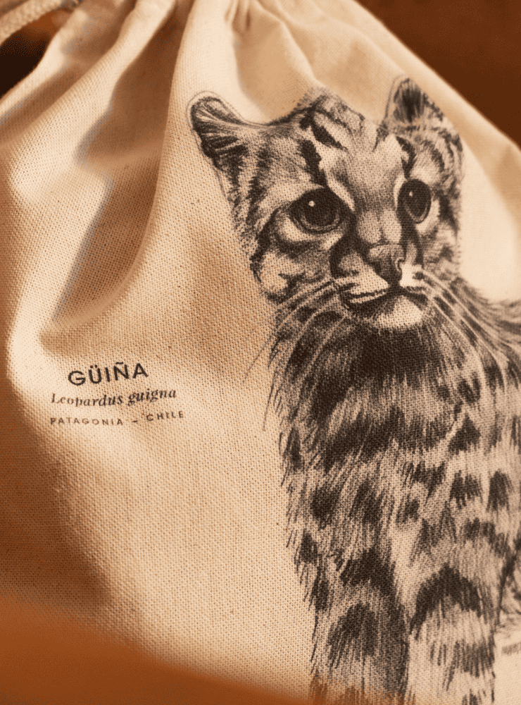 mochila diseño langosta de juan fernández Chile
mochila escolar fauna flora chilena vuelta a clases
regalo mochila langosta de juan fernández Chile niño
mochila ilustración langosta de juan fernández Chile sustentable
mochila vuelta a clases fauna Chile