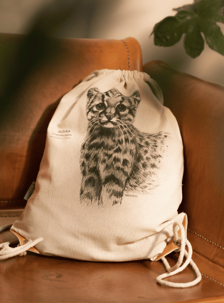 mochila diseño garza cuca Chile
mochila escolar fauna flora chilena vuelta a clases
regalo mochila garza cuca Chile niño
mochila ilustración garza cuca Chile sustentable
mochila vuelta a clases fauna Chile
