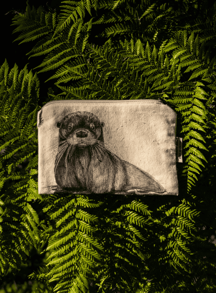 estuche diseño cortinarius Chile
estuche escolar fauna flora chilena
regalo vuelta a clases estuche cortinarius Chile
estuche ilustración cortinarius Chile sustentable
estuche fauna flora nativa Chile niños