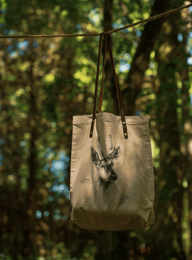 totebag diseño vizcacha Chile
bolsa tela reutilizable vizcacha fauna Chile
regalo totebag vizcacha Chile
totebag alternativa plástico fauna chilena
totebag ilustración vizcacha Chile sustentable