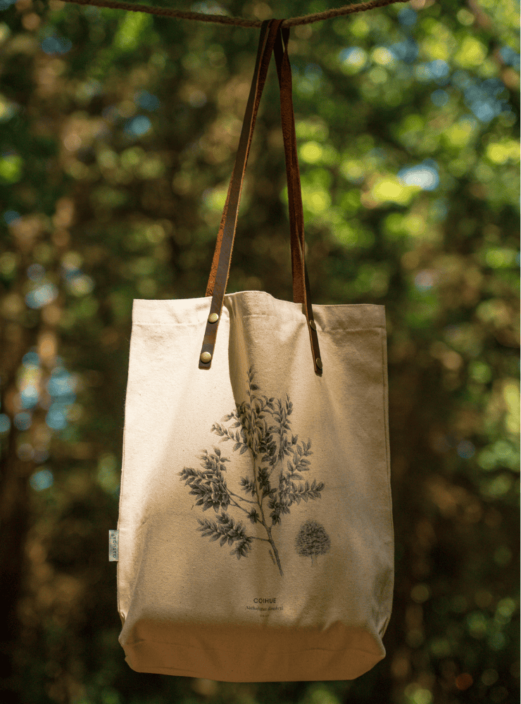 totebag diseño puma Chile
bolsa tela reutilizable puma fauna Chile
regalo totebag puma Chile
totebag alternativa plástico fauna chilena
totebag ilustración puma Chile sustentable