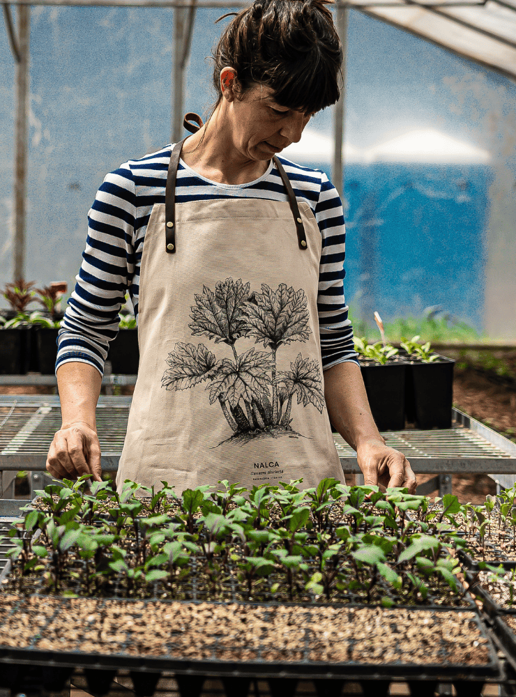 delantal algodón diseño picaflor gigante Chile
delantal tirantes cuero colibrí más grande mundo Chile
regalo delantal picaflor gigante fauna Chile
delantal cocina aves nativas Chile
delantal algodón cuero picaflor gigante cordillera Chile