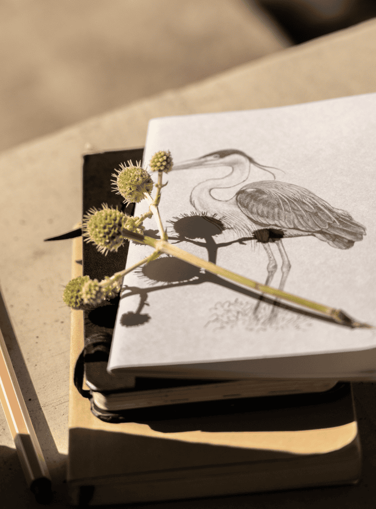 libreta diseño flamenco Chile
libreta papelería ilustración fauna flora chilena
regalo libreta flamenco fauna Chile
libreta 60 páginas flamenco Chile
regalo papelería fauna flora nativa Chile