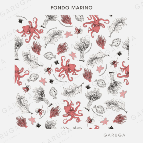 FONDO MARINO
