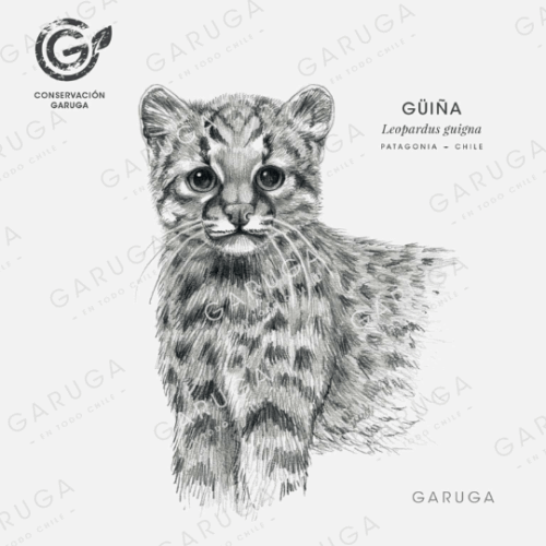GUIÑA