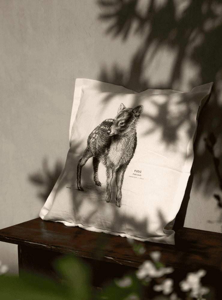funda cojín diseño zorro culpeo Chile algodón
decoración hogar con cánido nativo Chile
funda cojín algodón 50x50 zorro culpeo Chile
regalo decoración hogar zorro culpeo fauna Chile
funda cojín fauna andina patagónica Chile hogar
