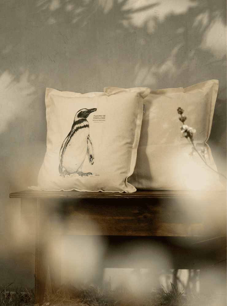 funda cojín diseño zorro culpeo Chile algodón
decoración hogar con cánido nativo Chile
funda cojín algodón 50x50 zorro culpeo Chile
regalo decoración hogar zorro culpeo fauna Chile
funda cojín fauna andina patagónica Chile hogar