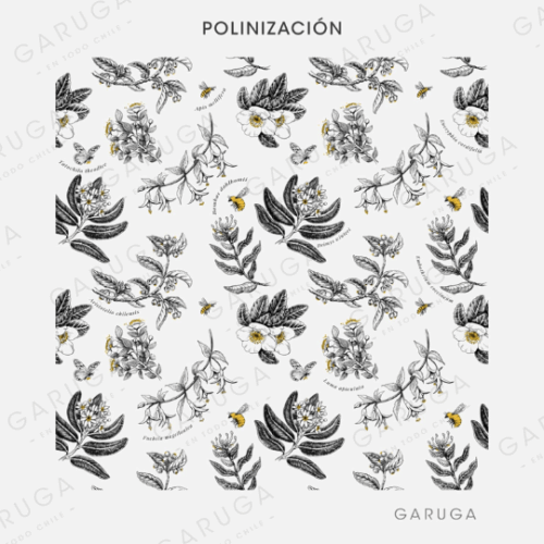 POLINIZACIÓN
