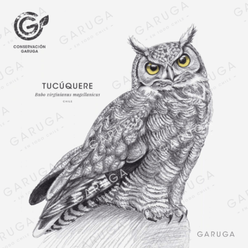 TUCÚQUERE