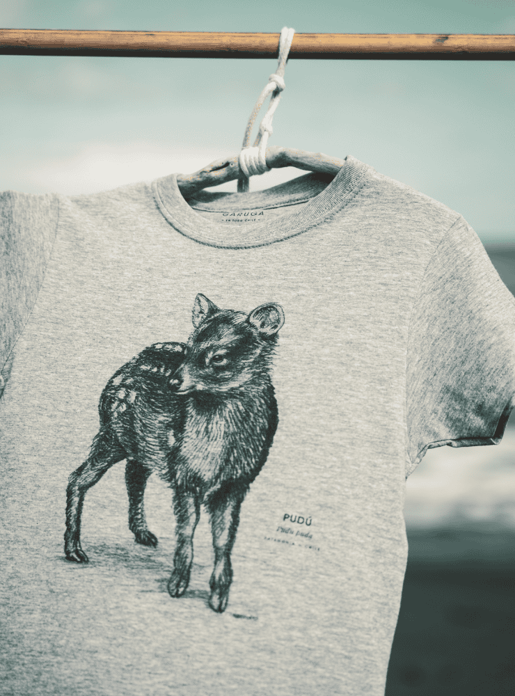 polera infantil manga corta diseño mariposa del chagual Chile
ropa niño con insecto endémico Chile manga corta
polera algodón niño mariposa chagual Chile
regalo niño conservación mariposa del chagual Chile
ropa infantil fauna insectos endémicos Chile manga corta