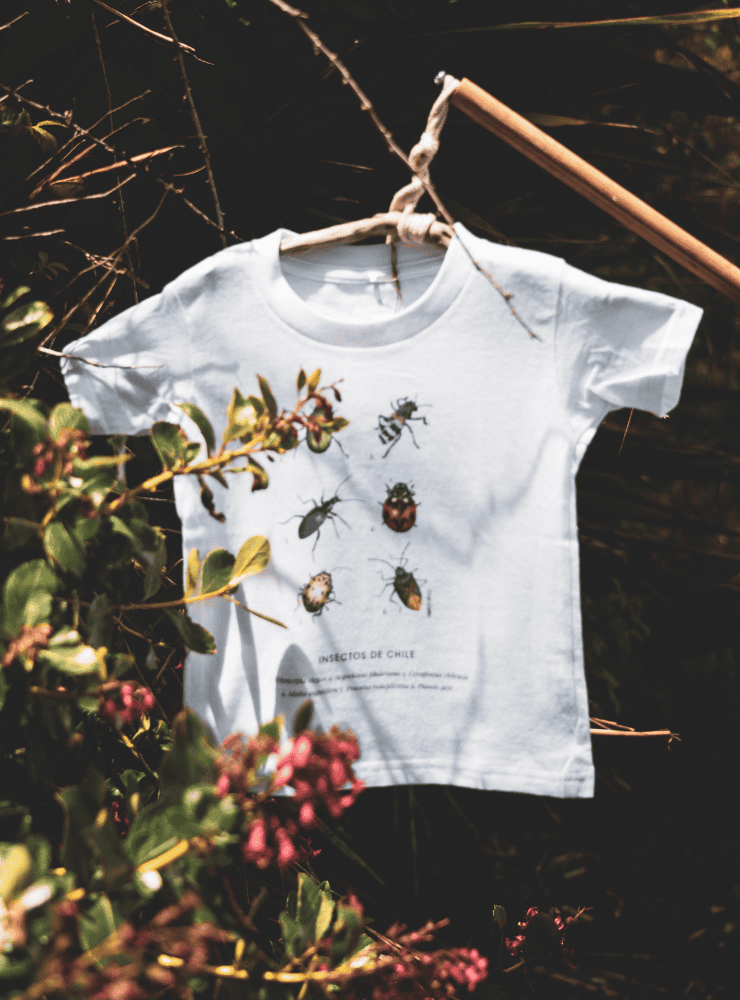 polera infantil manga corta diseño siete colores Chile
ropa niño con ave más colorida humedales Chile
polera algodón niño siete colores humedal Chile
regalo niño conservación siete colores Chile
ropa infantil fauna humedales Chile manga corta