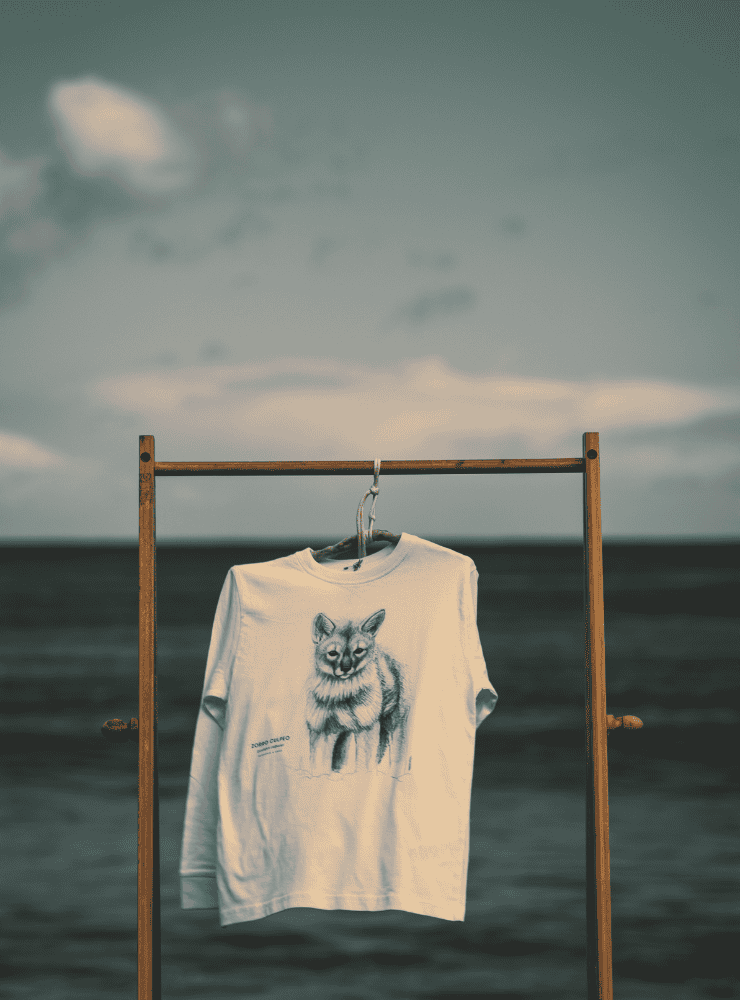 polera infantil manga larga diseño siete colores Chile
ropa niño con ave más colorida humedales Chile manga larga
polera algodón niño manga larga siete colores Chile
regalo niño manga larga siete colores fauna Chile
ropa infantil manga larga conservación humedales Chile