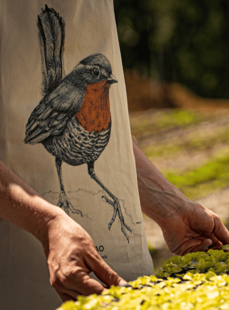 delantal algodón diseño flamenco chileno Chile
delantal tirantes cuero ave rosada salares Chile
regalo delantal flamenco chileno fauna andina Chile
delantal cocina aves nativas Chile
delantal algodón cuero flamenco altiplánico Chile