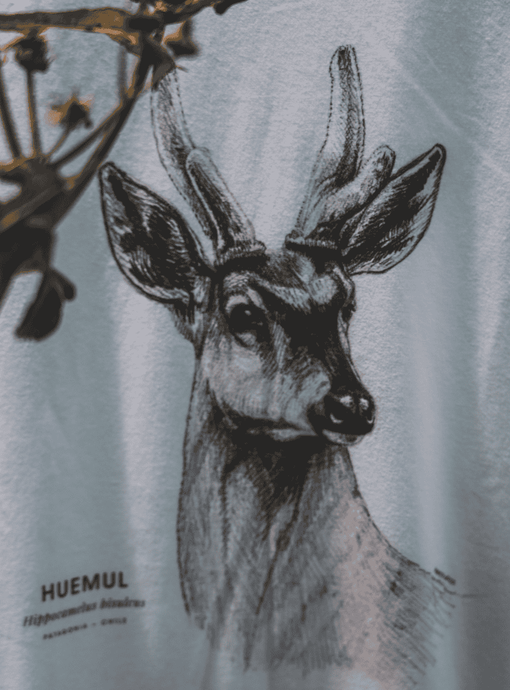 polera manga corta diseño huemul Chile
ropa con ciervo nacional Chile en peligro extinción
polera algodón unisex huemul patagónico Chile
regalo conservación huemul Chile manga corta
ropa fauna en peligro extinción Chile manga corta