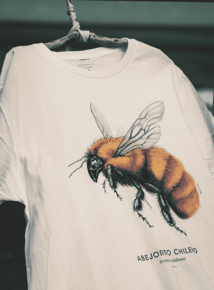 polera manga corta diseño huillín Chile
ropa con nutria de río nativa Chile en peligro extinción
polera algodón unisex especie amenazada Chile
regalo conservación huillín nutria patagónica Chile
ropa fauna en peligro extinción ríos Chile