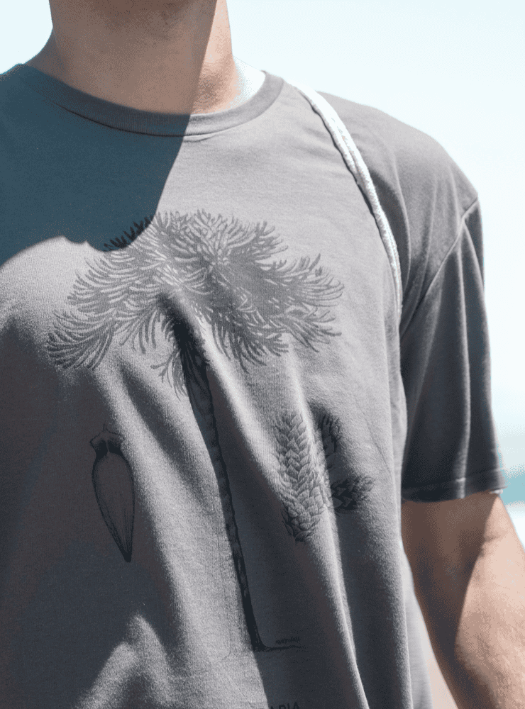 polera manga corta diseño tortuga verde Chile
ropa con tortuga marina nativa Chile manga corta
polera algodón unisex tortuga verde Chile
regalo conservación tortuga verde Chile
ropa fauna marina Chile manga corta