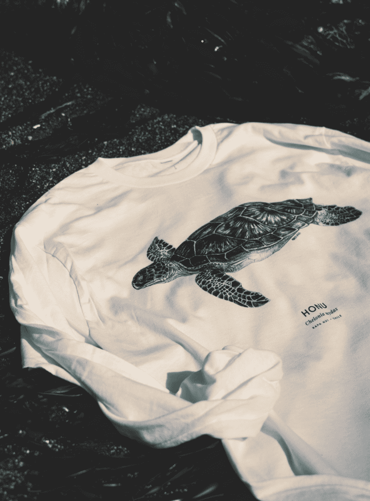 polera manga larga diseño cóndor volando Chile
ropa con ave voladora más grande mundo en vuelo manga larga
polera algodón unisex cóndor andino vuelo manga larga
regalo con cóndor volando símbolo nacional Chile
ropa conservación cóndor Chile manga larga entretiempo